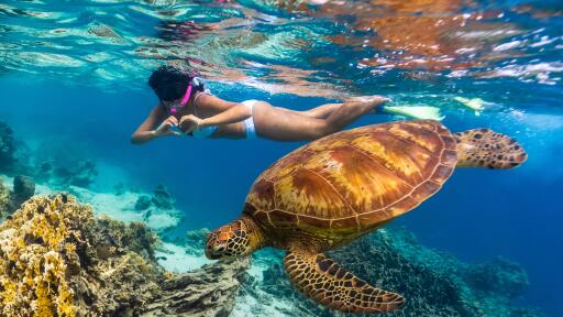 Snorkelling