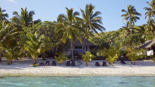 Tamanu lagoon