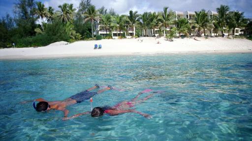 Snorkelling