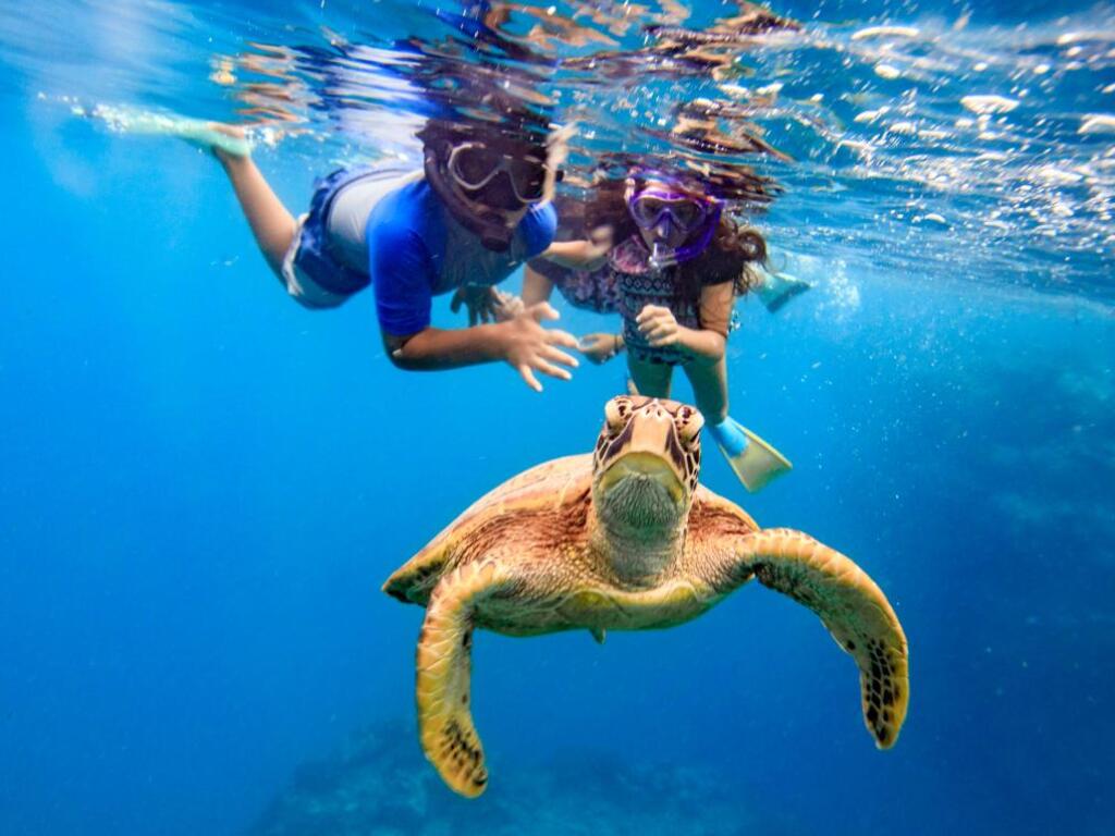 Cook Islands Special Offer: Kids Stay & Play Free