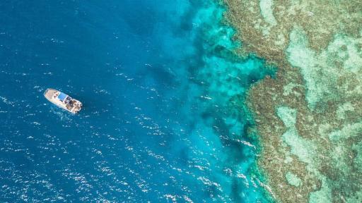 Aerial View of the Reef