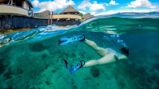 Snorkelling