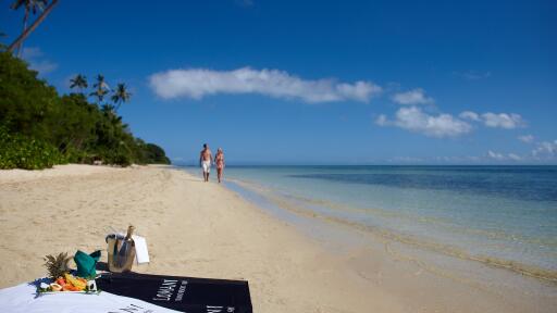 Beach Picnic