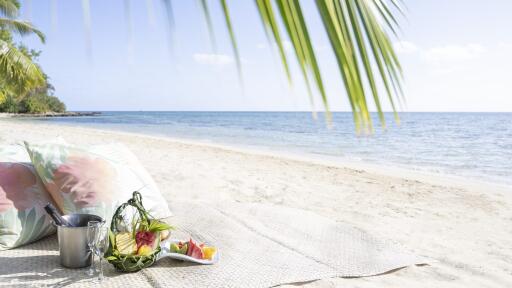 Beach Picnic