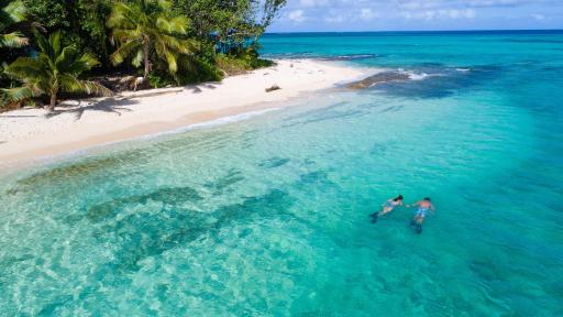 Snorkelling