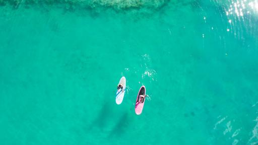 Stand Up Paddle Boards