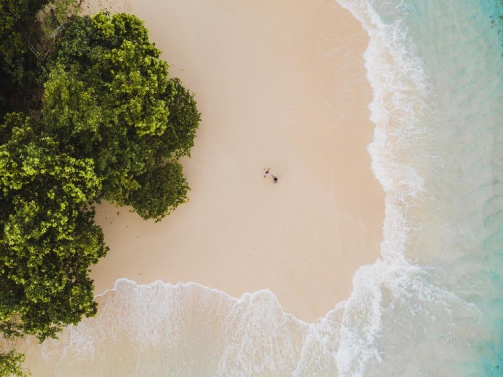 Beachfront Tropical Bliss