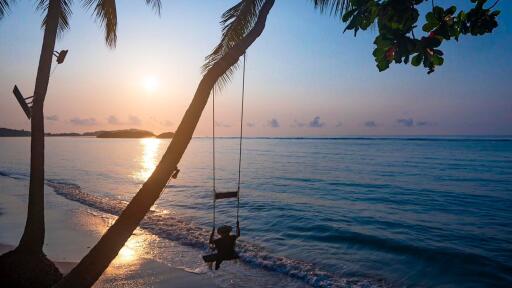 Beach & Swing