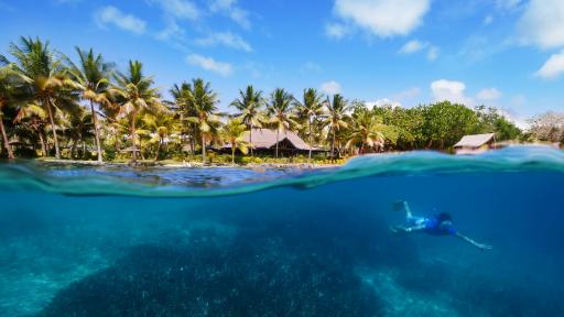 Snorkelling