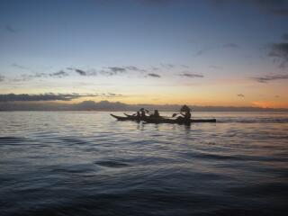 Palm Cove - Tourism and Events Queensland