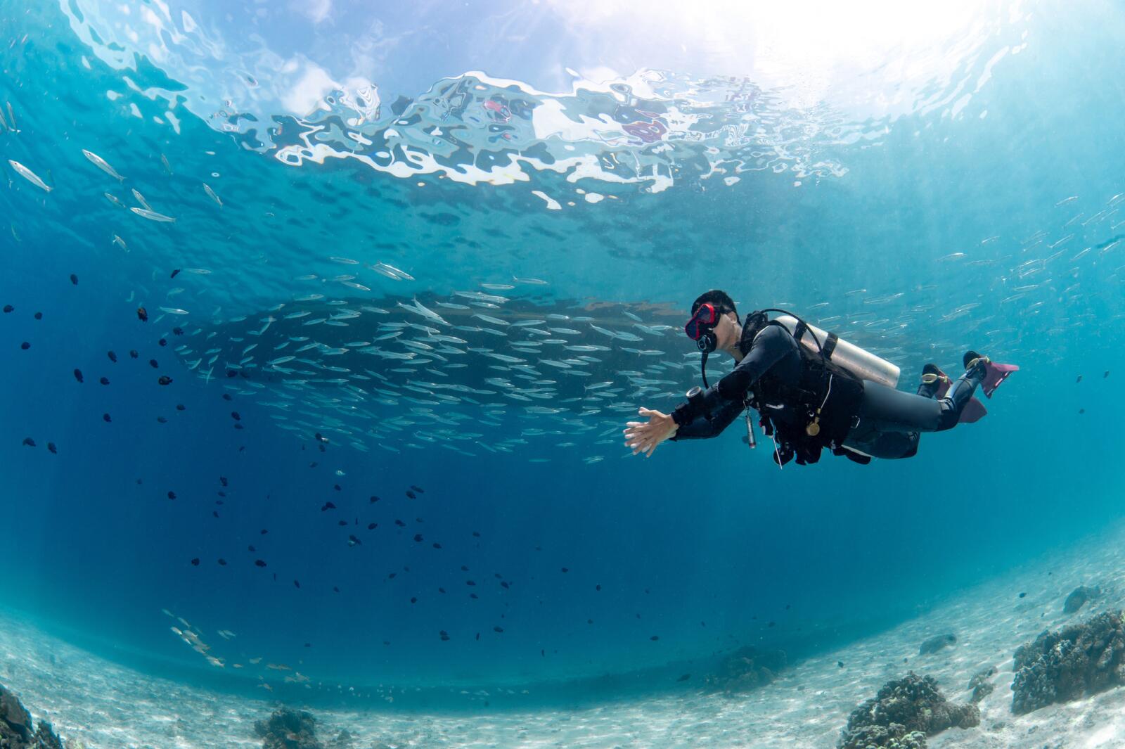 Diving - Racha Island - Phuket - Thailand