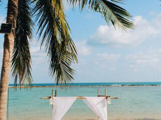 Beach Dining