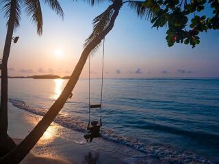 Beach & Swing