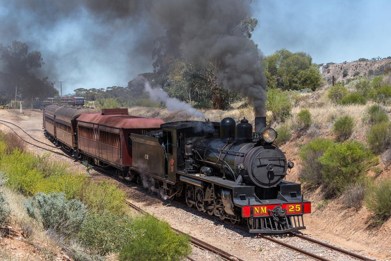 Steam Train