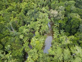 Mossman River