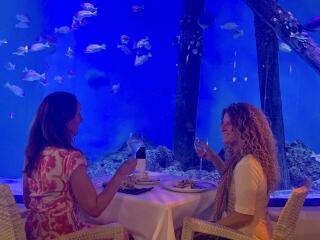 Dining & Shark Tank