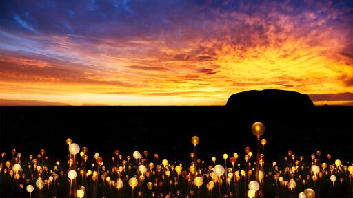 Field of Lights