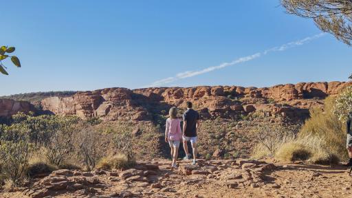 Kings Canyon & Outback Panorama