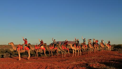 Take a Camel To Sunrise Tour