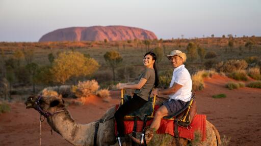 Take a Camel To Sunset Tour