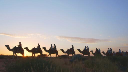 Camel to Sunrise - Tourism Australia - The Precinct