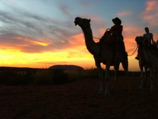 Sunrise Camel Tour