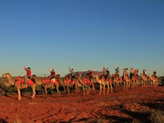 Sunrise Camel Tour