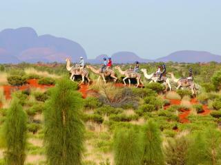 Camel Tour