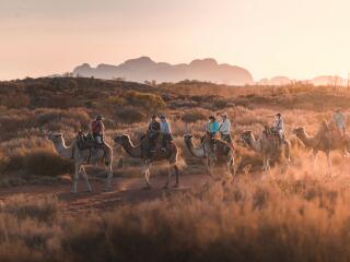 Camel Tour - Tourism NT - Nic Morley