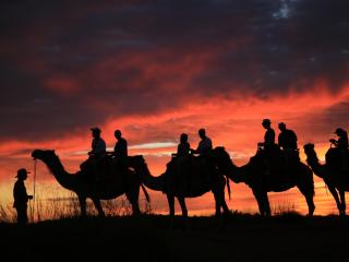 Sunset Camel Tour