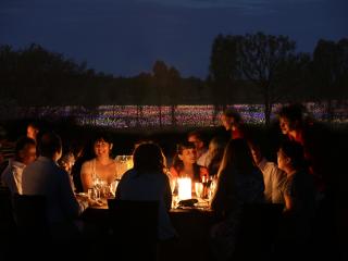 A Night at Field of Light