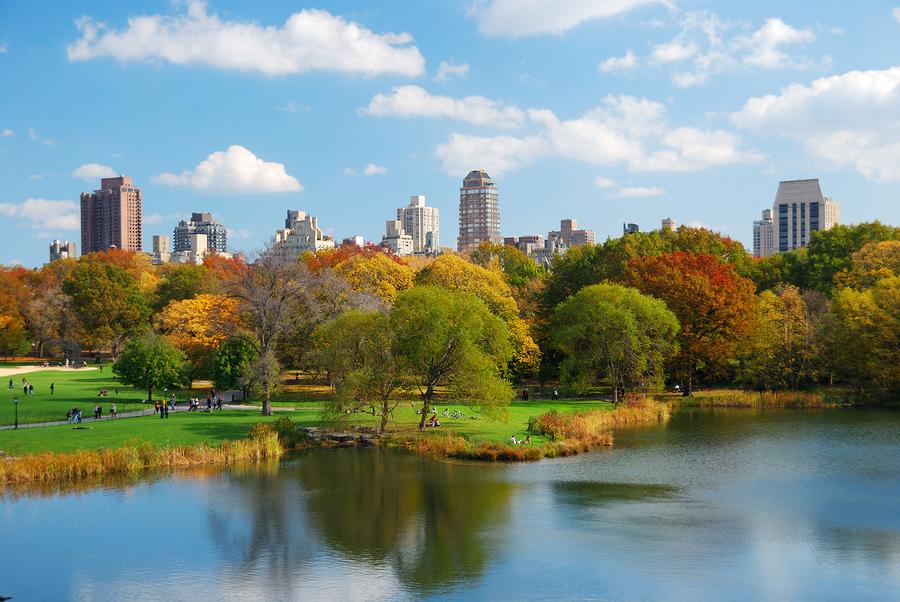 Central Park | New York Attraction