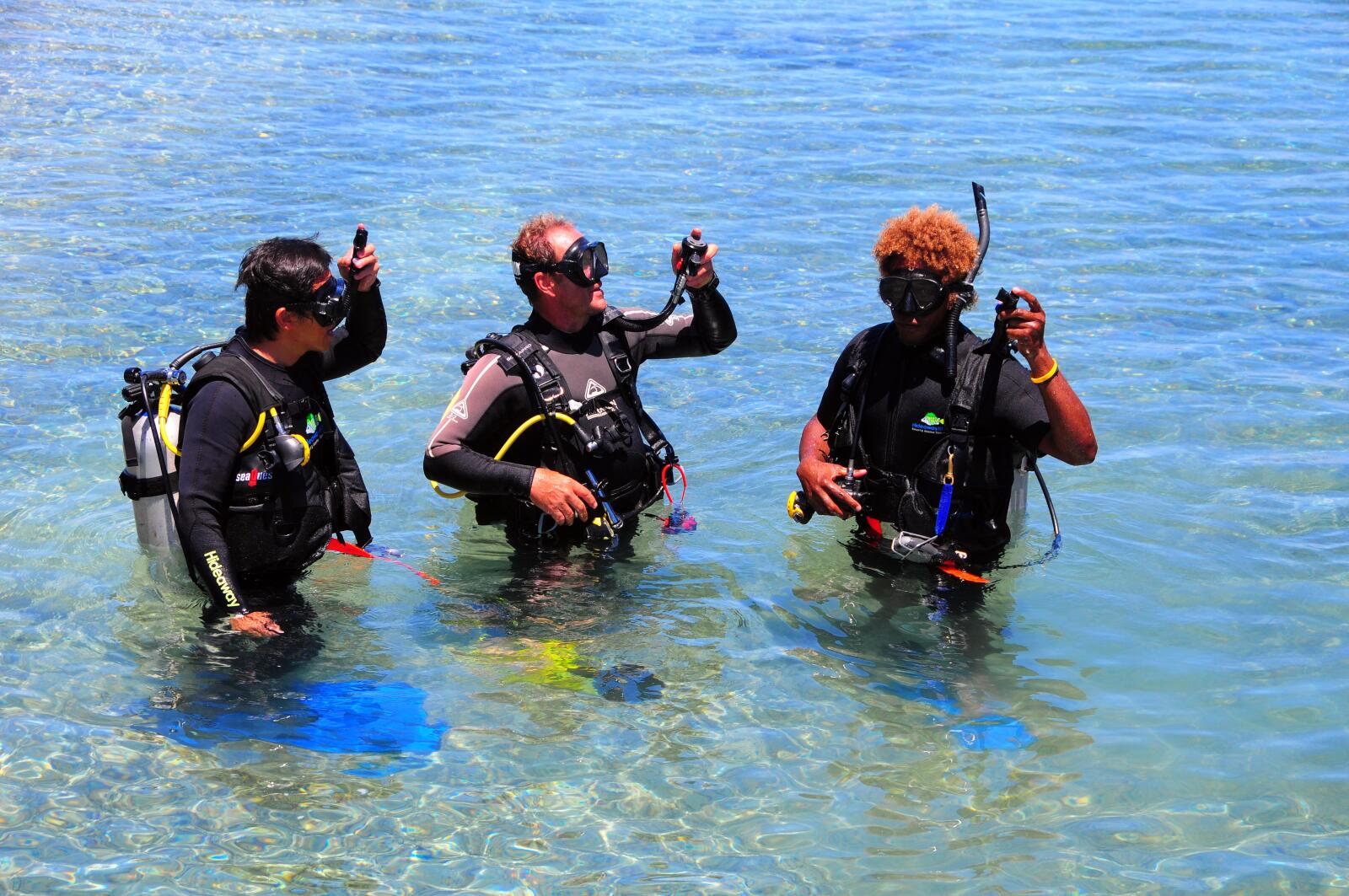 Scuba Diving Lessons