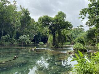 Rarru Cascades, Waterfall & Kava - Vanuatu Ecotours