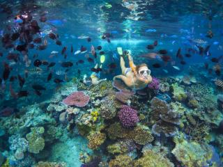 Snorkelling in Vanuatu