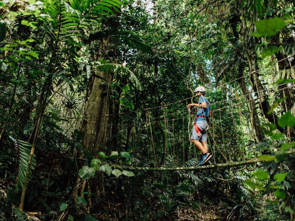 Vanuatu Jungle Zipline Tour Vanuatu