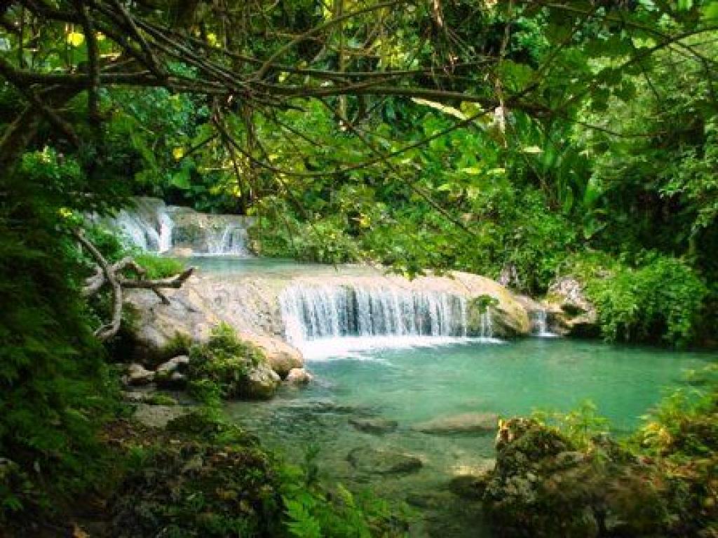 Mele Cascades & Tanna Coffee | Vanuatu Tour