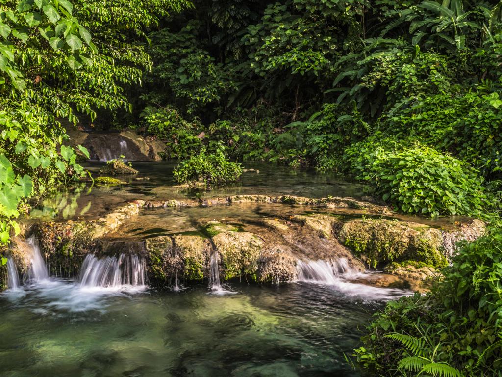 Mele Cascades & Tanna Coffee | Vanuatu Tour