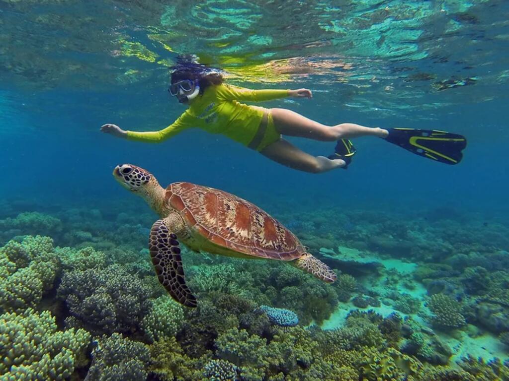 Glass Bottom Boat Cruise Vanuatu