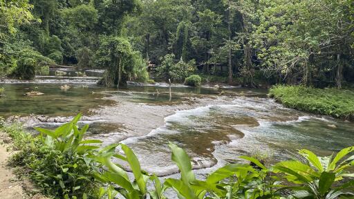 Rarru Cascades, Waterfall & Kava