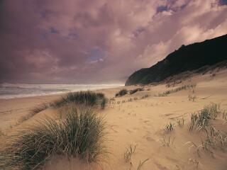 Johanna Beach