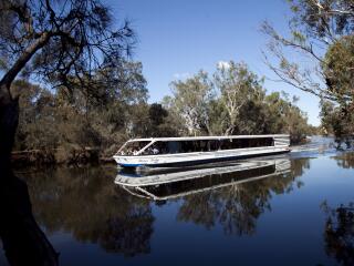 Swan Valley Wine Cruise