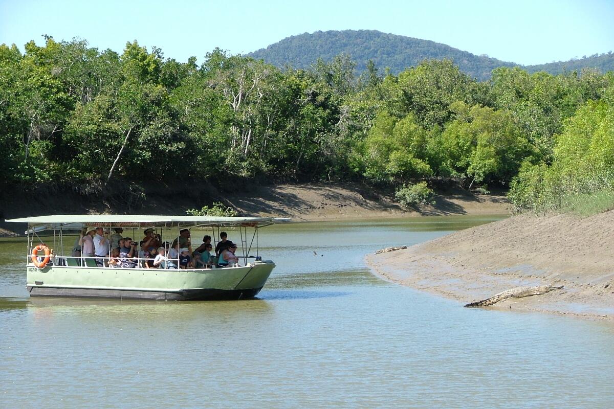 Croc Watching